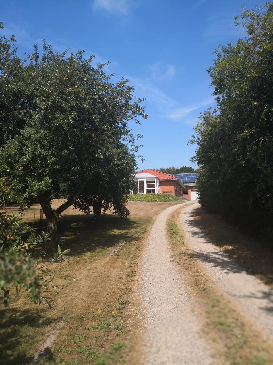 Facade/entrance, Garden
