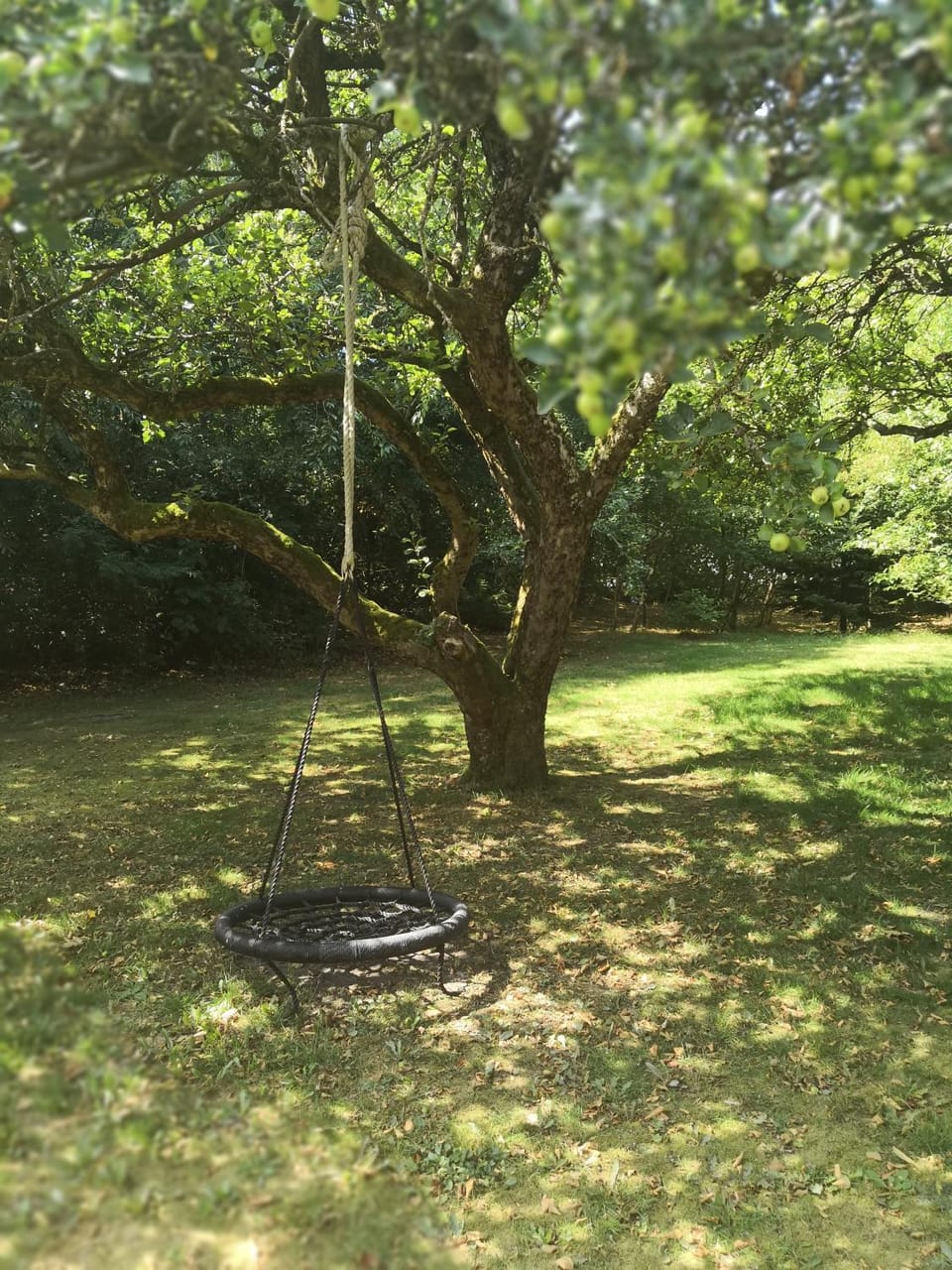 Children play ground, Garden