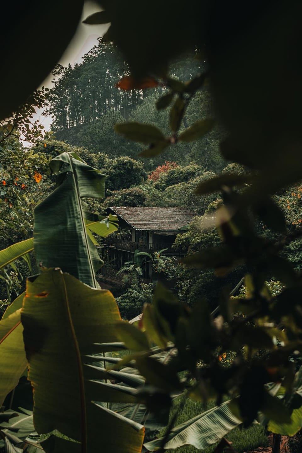 Property building, Natural landscape