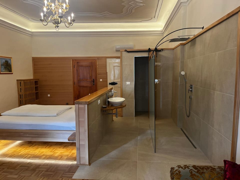 Shower, Photo of the whole room, Bedroom