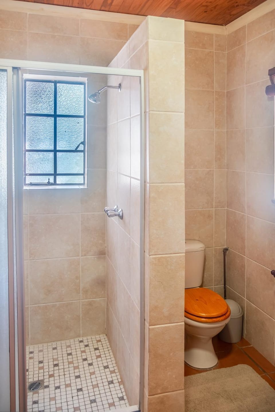 Shower, Toilet