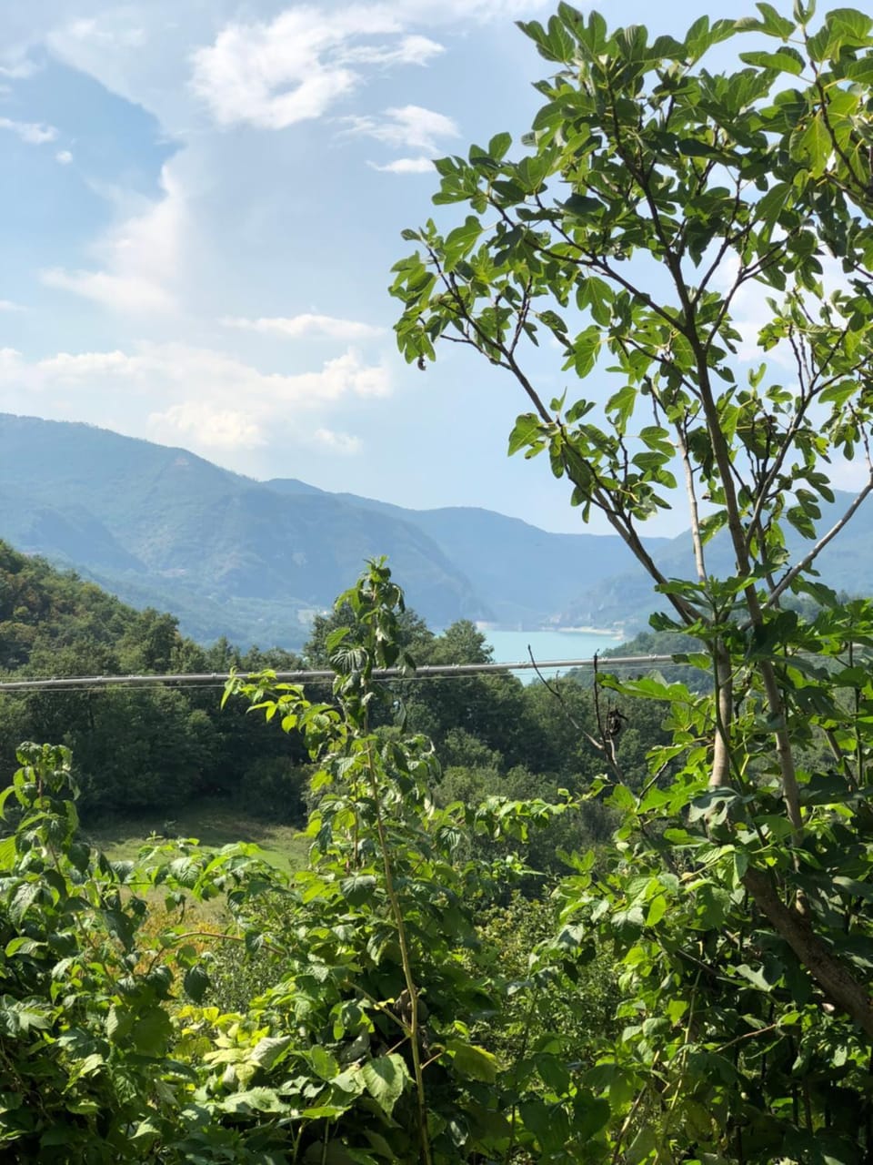 Natural landscape