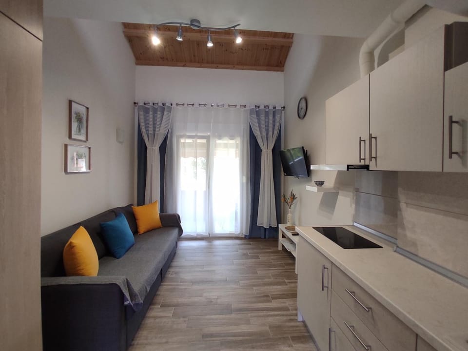 Kitchen or kitchenette, Photo of the whole room