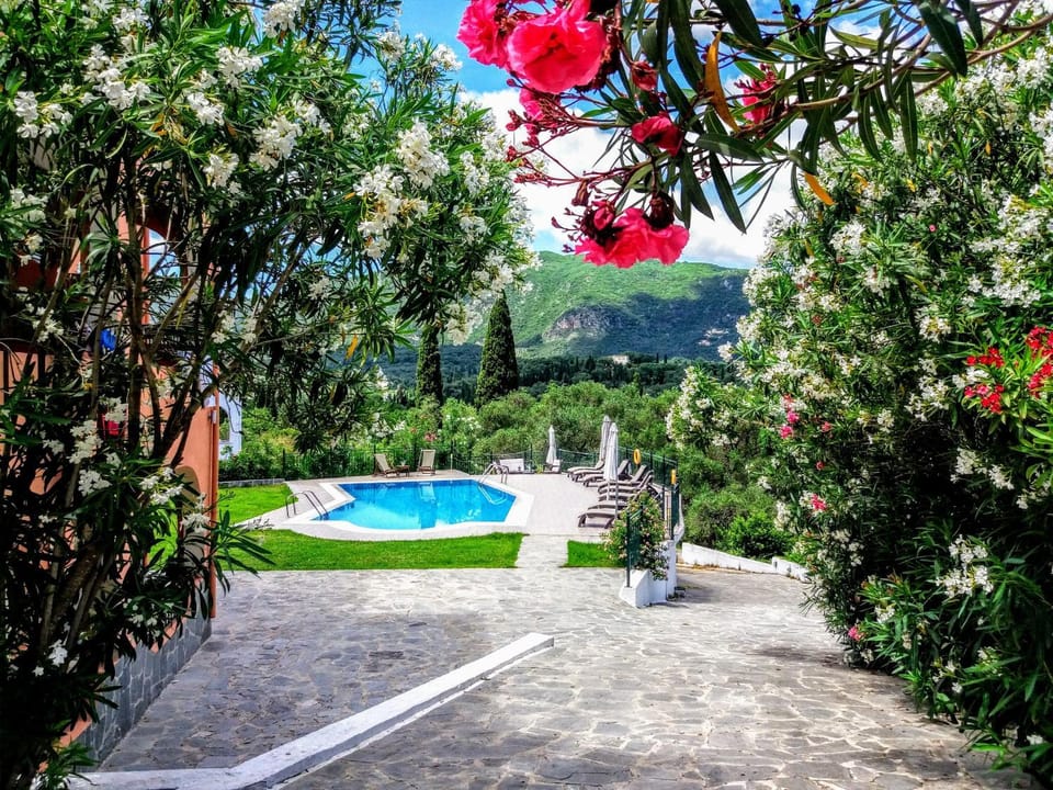 Garden, Garden view, Mountain view, Pool view