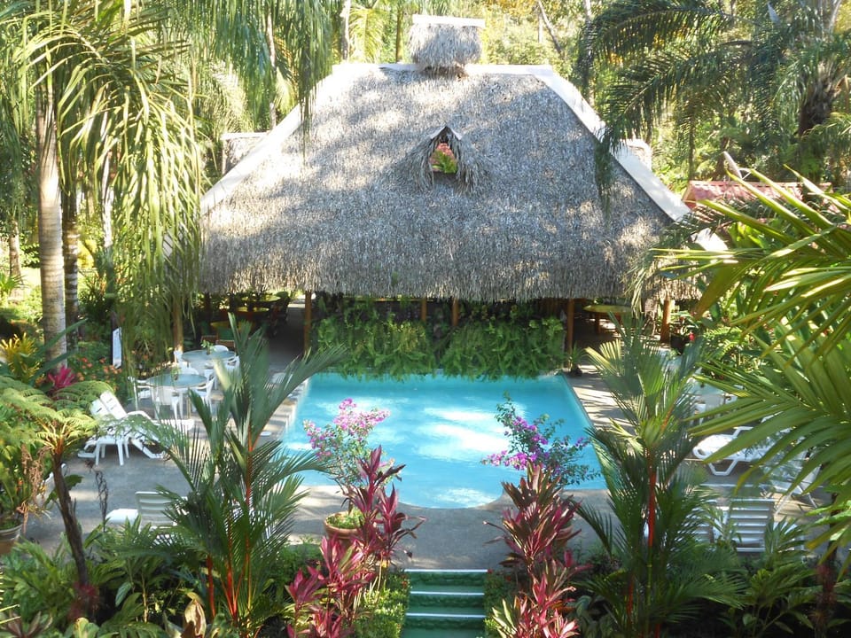 Bird's eye view, Swimming pool