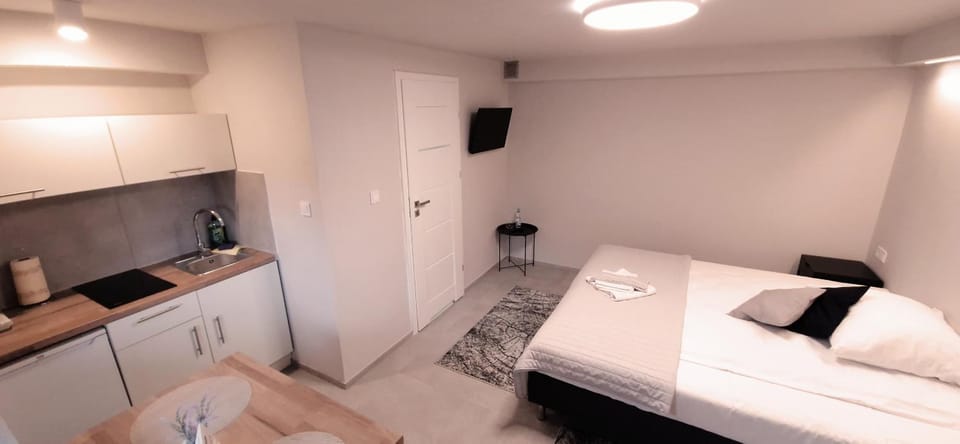 Bed, TV and multimedia, Kitchen or kitchenette, Photo of the whole room, Bedroom, towels