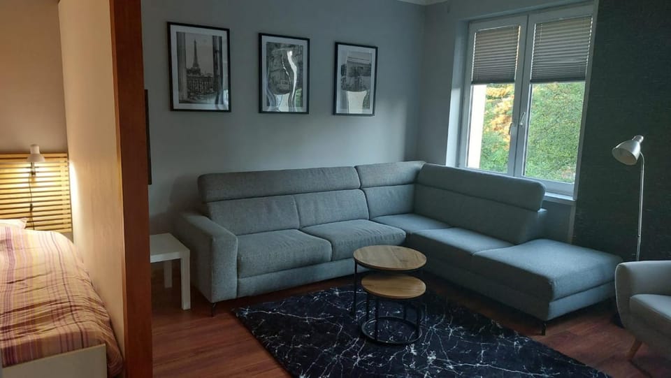 Apartament CENTRUM Apartment in Lithuania