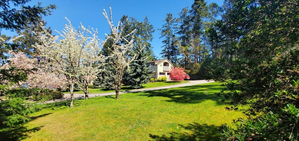 Natural landscape, Garden