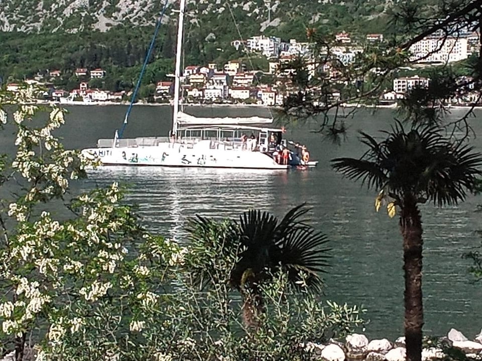Apartmani Braca2 Apartment in Kotor Municipality