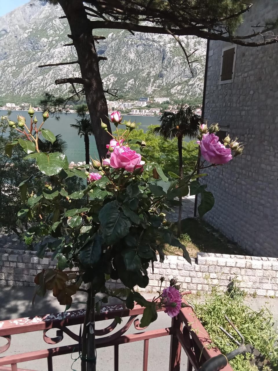 Apartmani Braca2 Apartment in Kotor Municipality