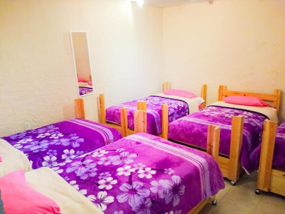 Guest Green Bed and Breakfast in Mexico City