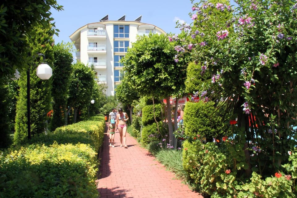Natural landscape, Garden