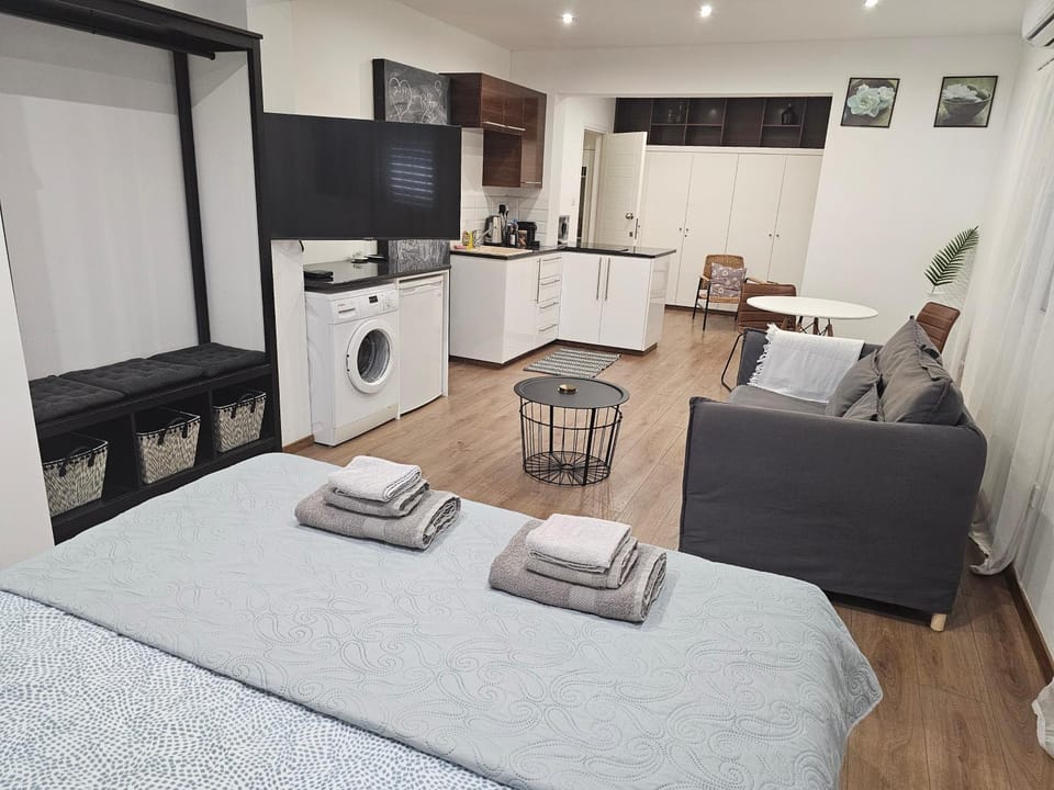Bed, TV and multimedia, Kitchen or kitchenette, Living room, Photo of the whole room