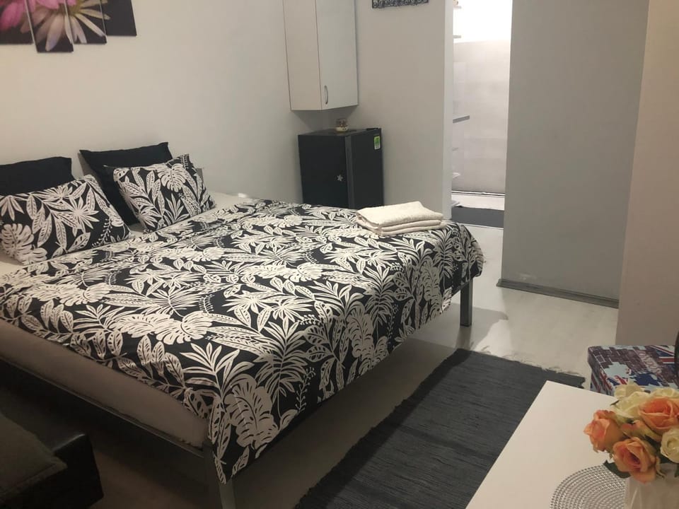 Garsoniera Aleea Trandafirilor Apartment in Serbia