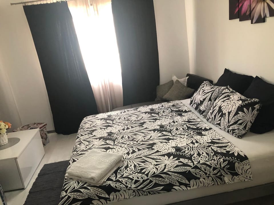 Garsoniera Aleea Trandafirilor Apartment in Serbia