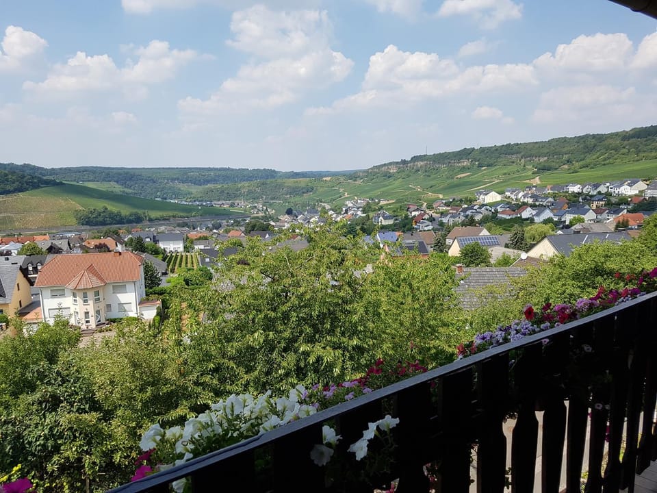 Mountain view, River view