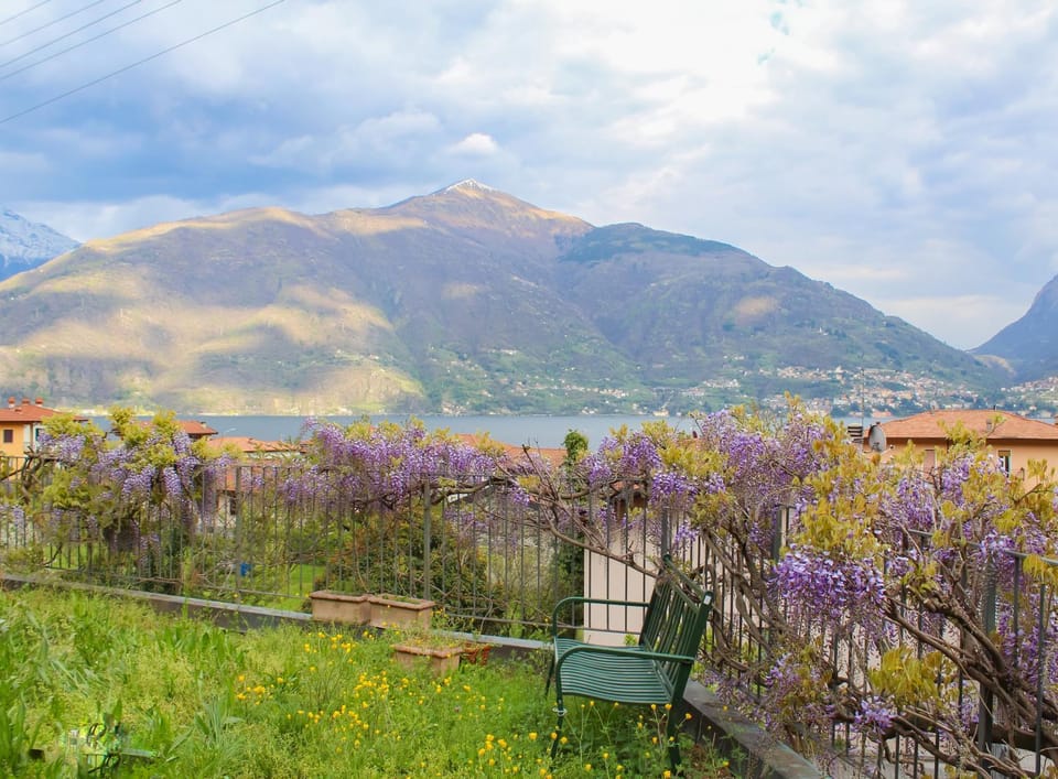 Natural landscape, Garden, Garden view, Lake view, Landmark view, Mountain view
