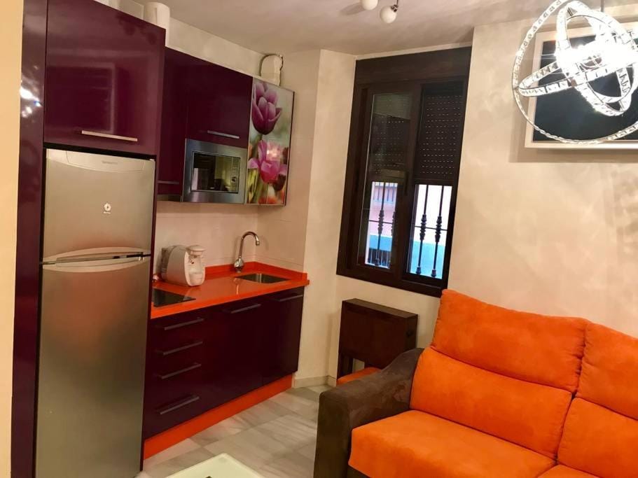 SALOTUR Don Pedro Apartment in Seville