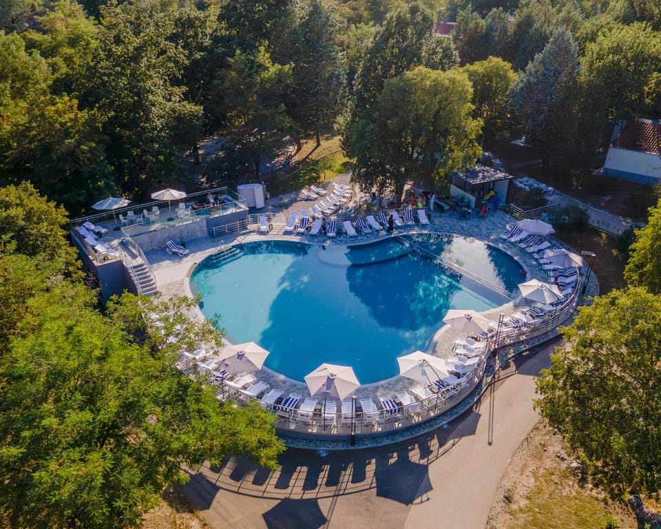 Bird's eye view, Garden, Garden view, Pool view, Swimming pool, sunbed