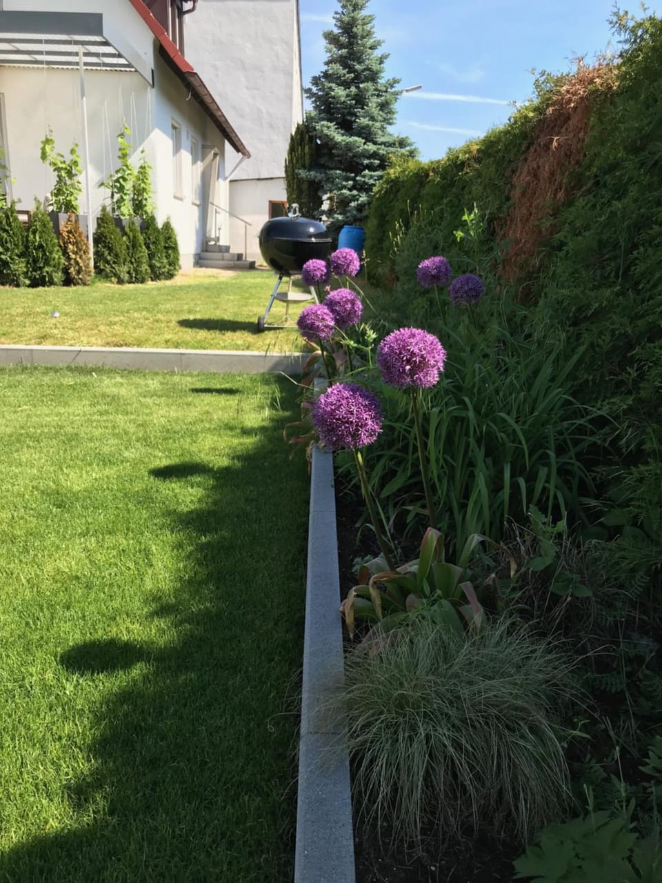 Garden view