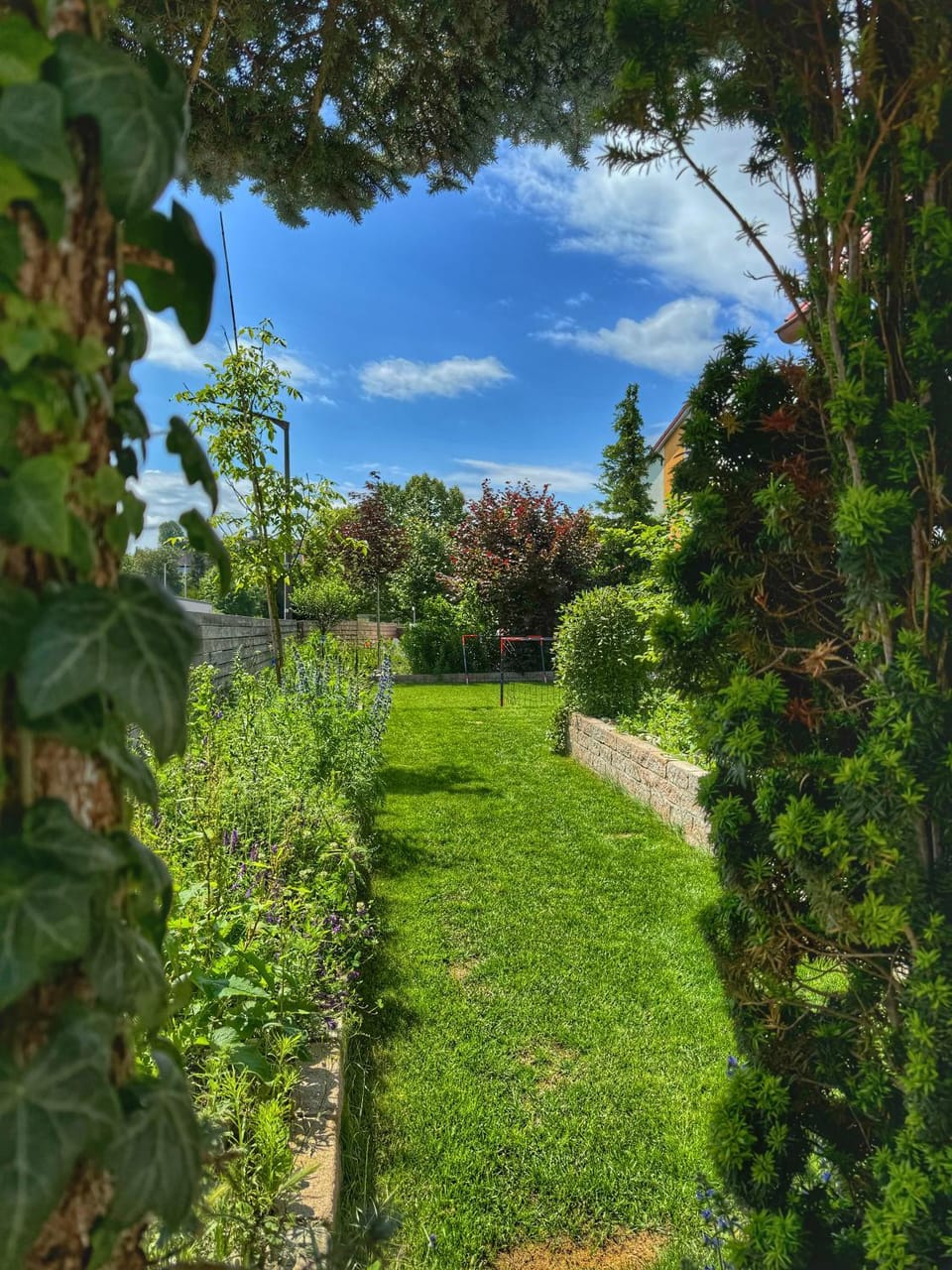 Property building, Garden, Garden view