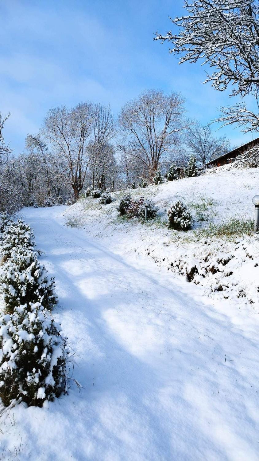 Casa Veche Corbeni Bed and Breakfast in Romania