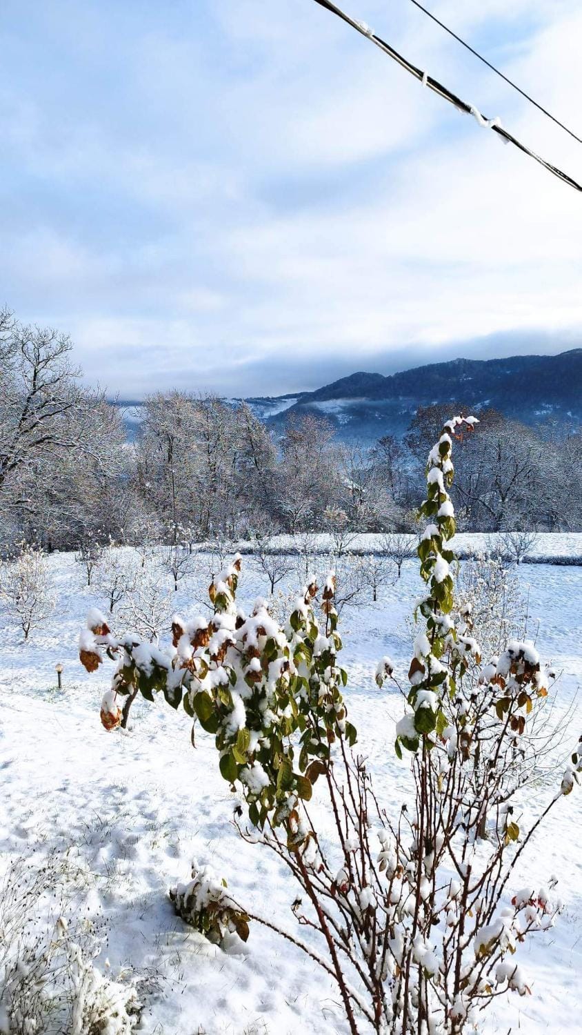 Casa Veche Corbeni Bed and Breakfast in Romania