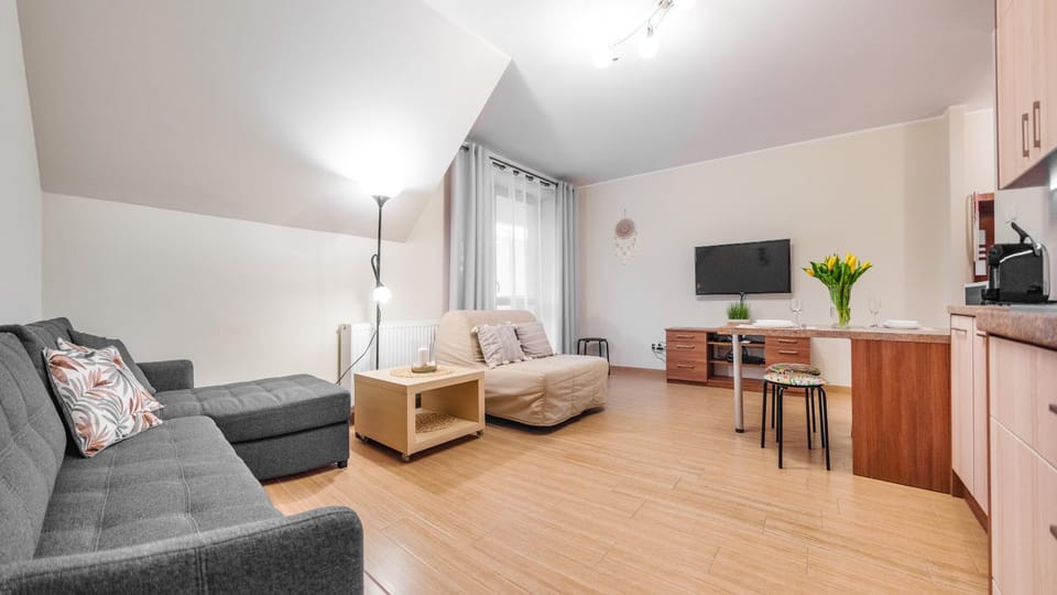 TV and multimedia, Kitchen or kitchenette, Photo of the whole room, Seating area
