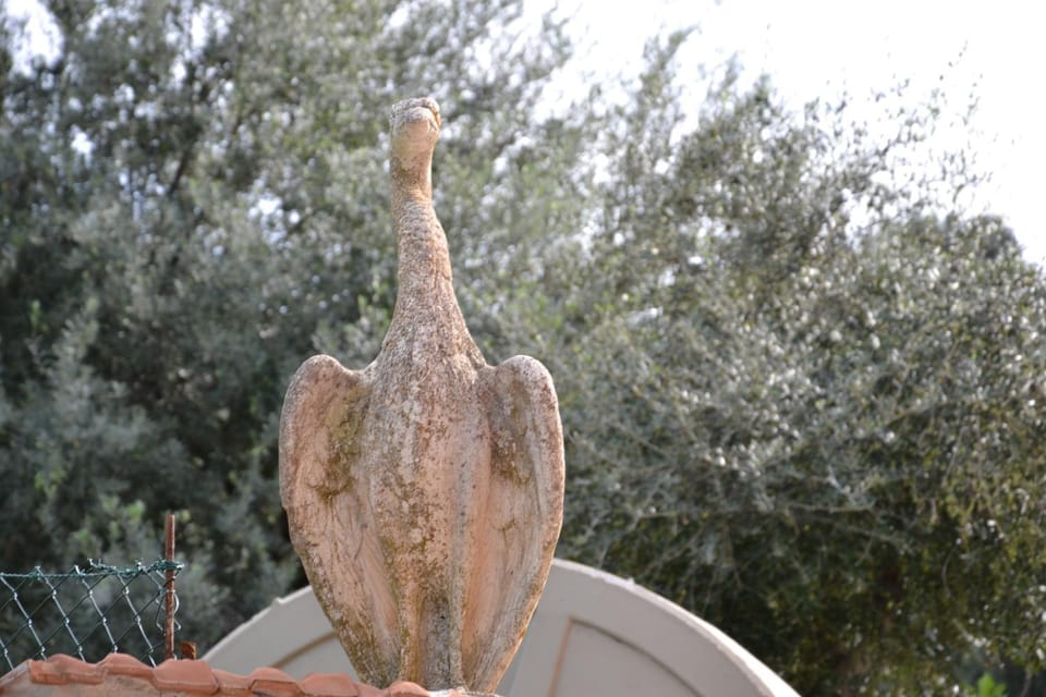 Villa Tiberio Farm Stay in Sicily