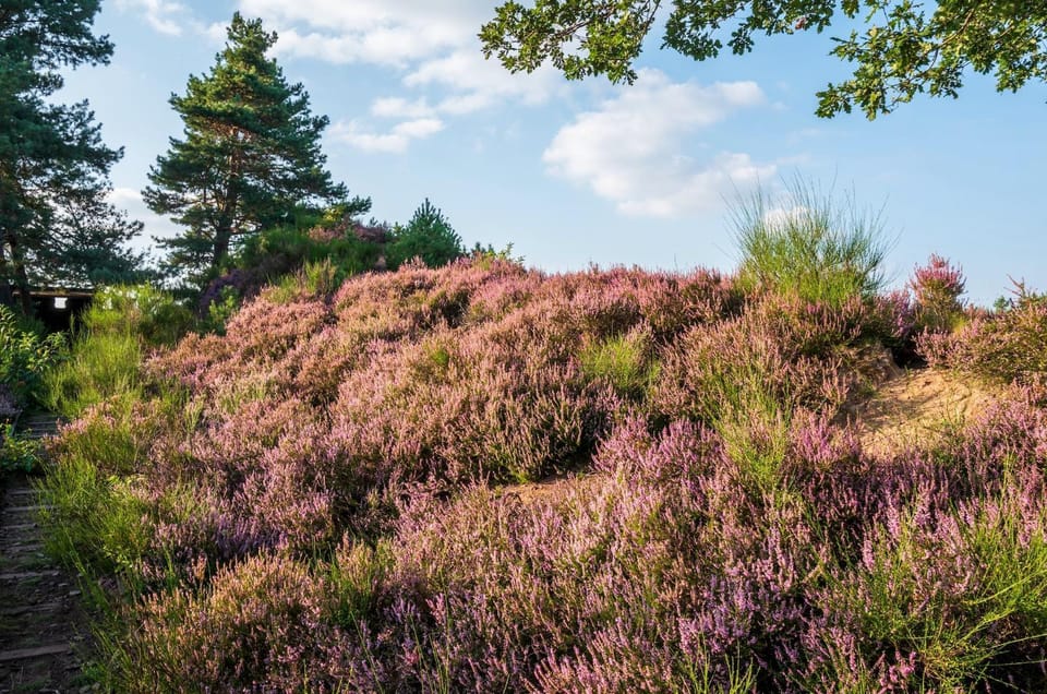 Natural landscape