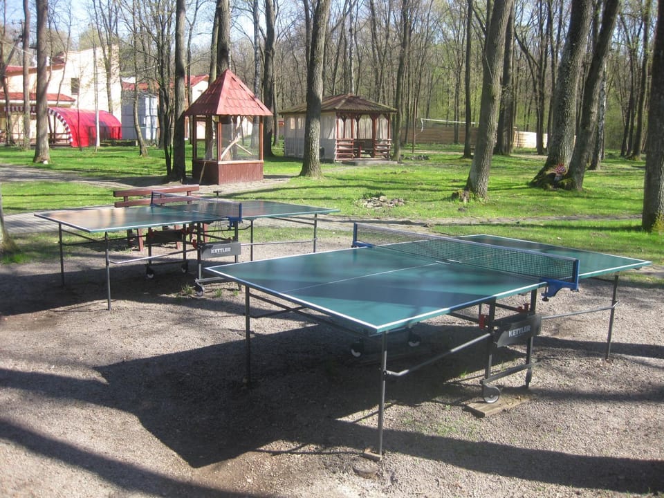 Activities, Table tennis
