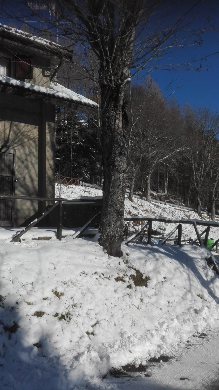 Natural landscape, Winter