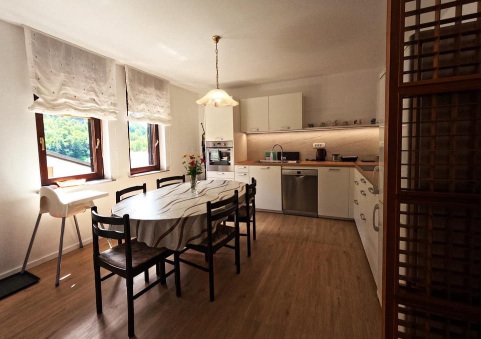 Kitchen or kitchenette, dishwasher, oven, stove