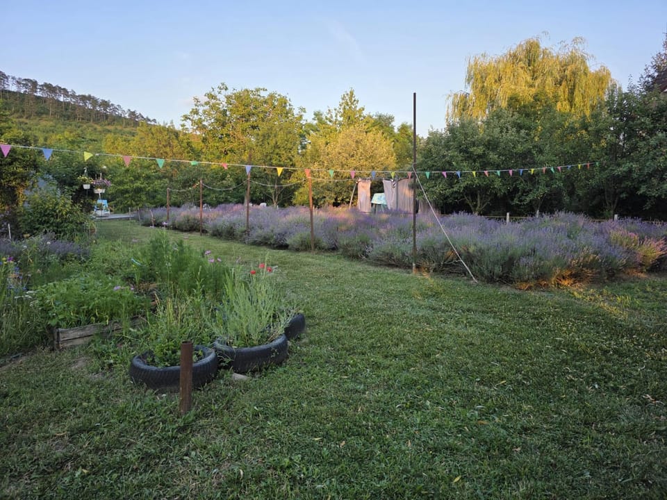 Lavander Garden Campground/ 
RV Resort in Cluj County