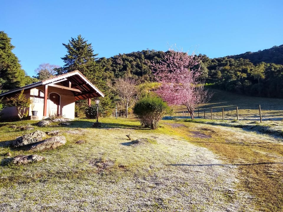 Natural landscape
