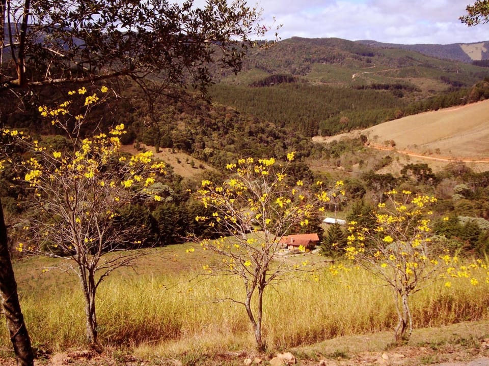 Natural landscape
