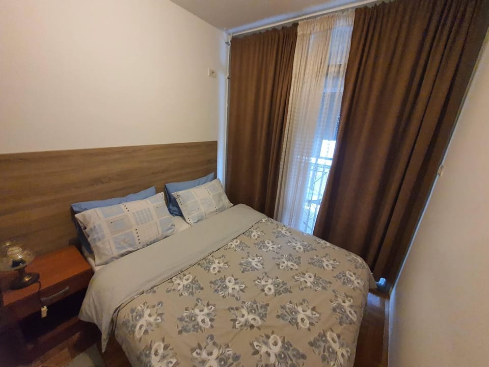 Recently renovated Delta Apartment Apartment in Podgorica