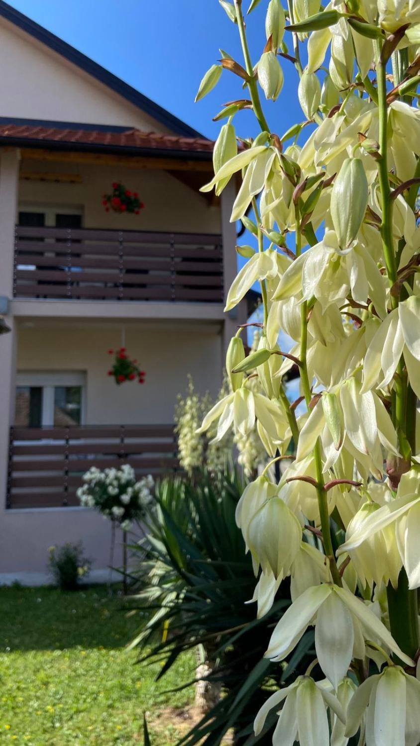 Djurdja 2 Apartman Apartment in Serbia
