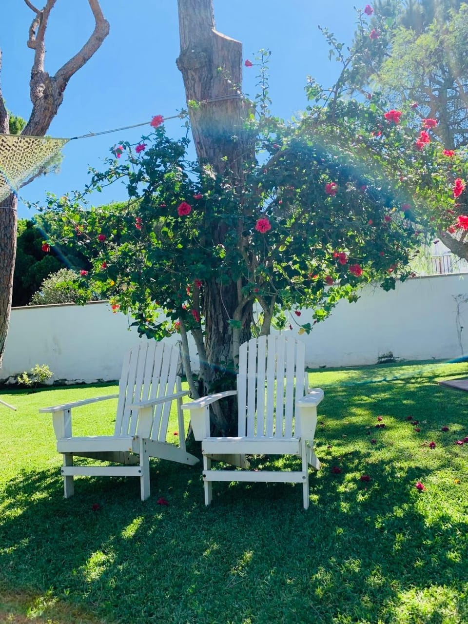 Villa Cai Villa in Chiclana de la Frontera