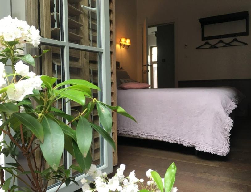 Patio, Balcony/Terrace