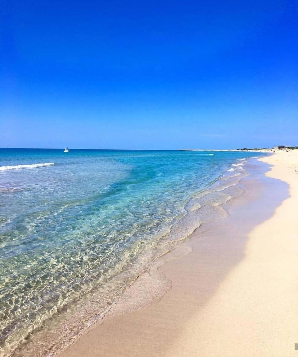 B&B Suites Via del Mare Bed and Breakfast in Apulia