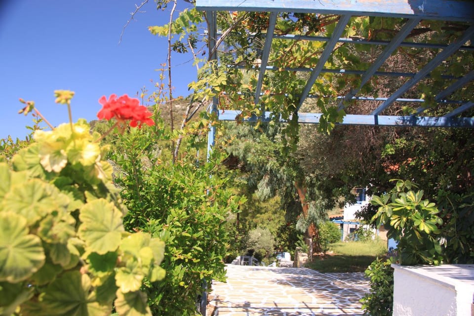 Blue Horizon Apartment in Samos, Greece