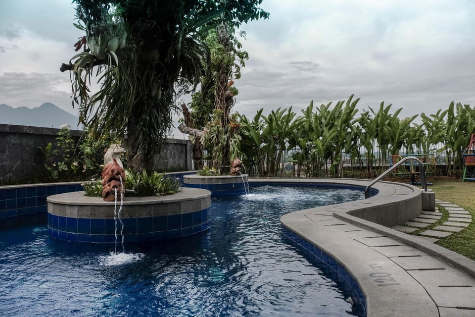 Swimming pool, Swimming pool