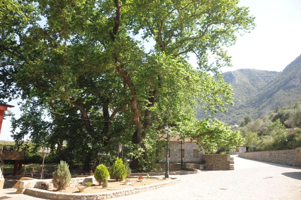 Area and facilities