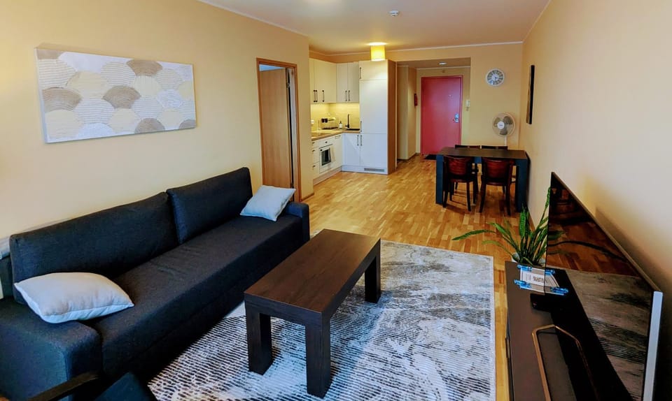 Bed, TV and multimedia, Kitchen or kitchenette, Living room, Photo of the whole room, Seating area, Dining area