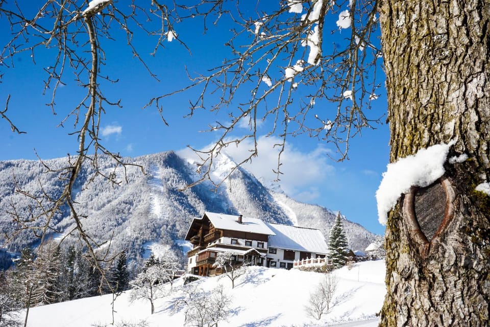 Property building, Winter