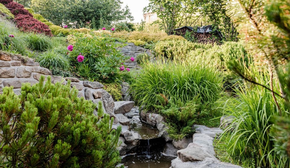 Garden view