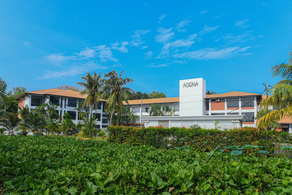 Property building, Day, Garden view