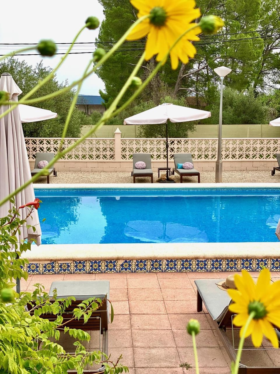 Swimming pool, sunbed