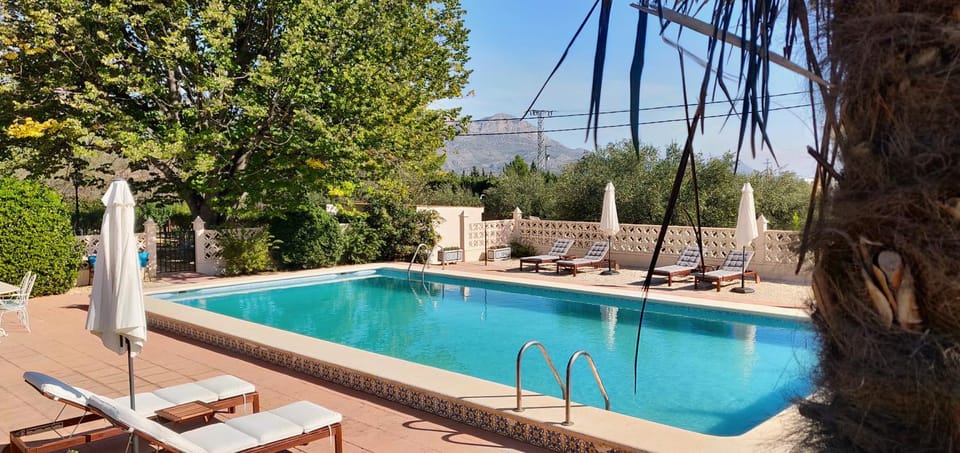 Day, Garden, Autumn, On site, Swimming pool